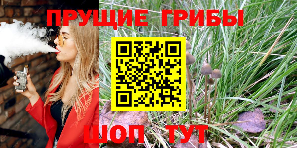 Псилоцибиновые грибы Psilocybe Каменск-Уральский