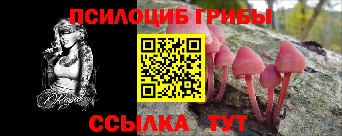 Каменск-Уральский  Псилоцибиновые грибы Cubensis  Вход с VPN  Псилоцибиновые грибы Psilocybe 